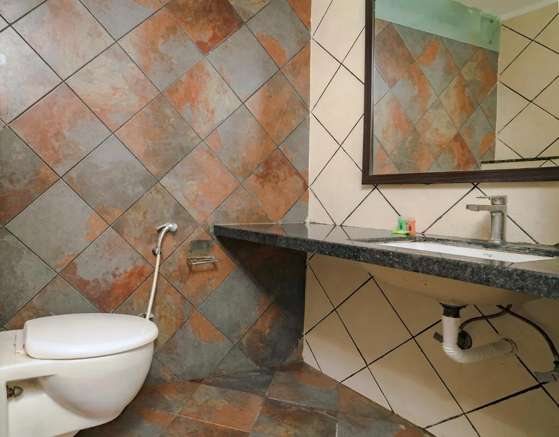 Hotel Blu Orchid Udaipur